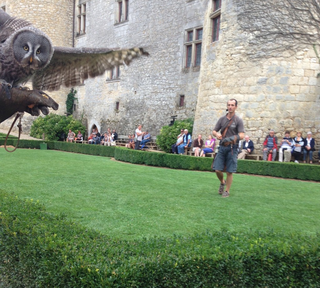 Big god damned owl, clearly photobombing Nic's picture of the castle